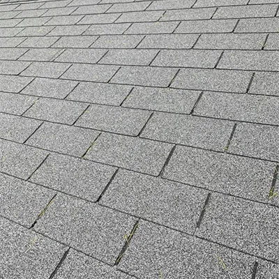 shingles