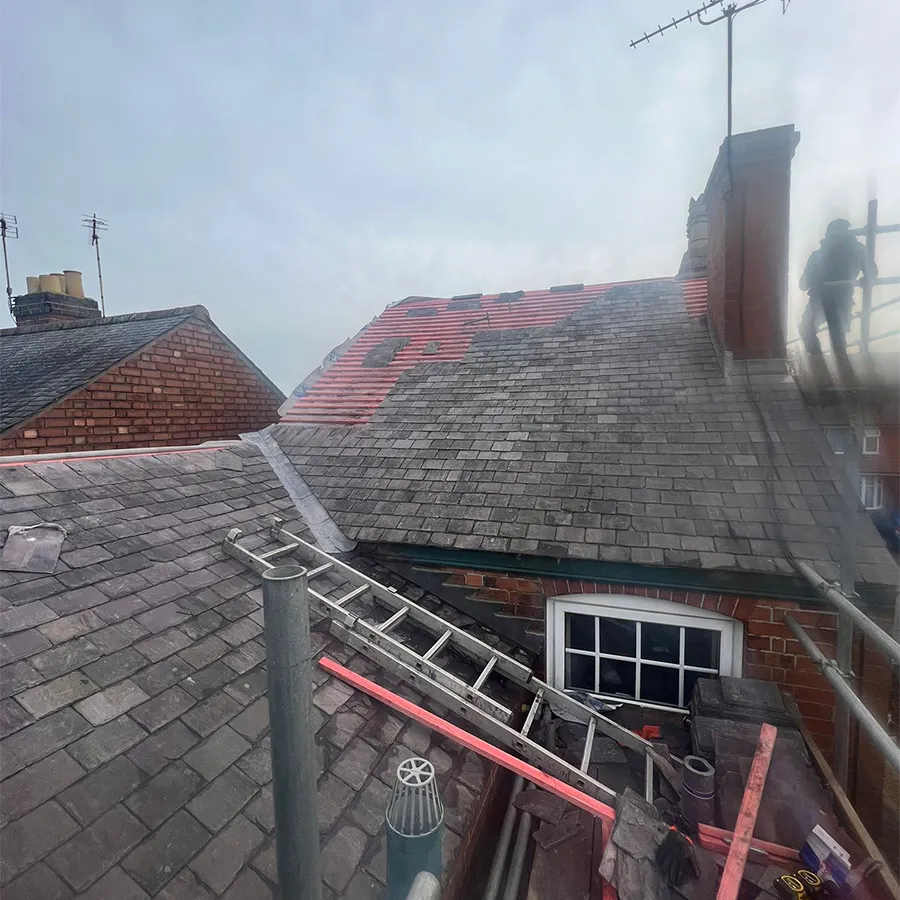 ladder up roof